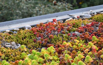 the cost of Todmorden green roof installation