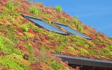 Todmorden living roof systems
